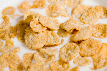 oatmeal and other cereals