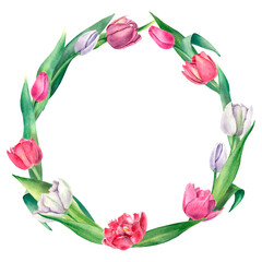 Watercolor wreath of delicate pink and white tulips with leaves on a white background