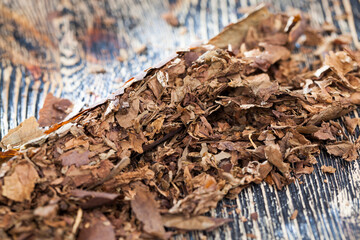 tobacco from cigarettes causing nicotine addiction, close up