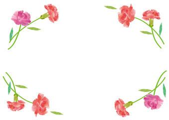 カーネーション　水彩イラスト