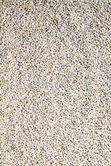 a large amount of raw grain of pearl barley