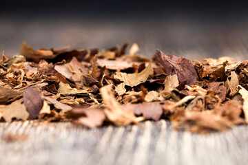 tobacco from cigarettes causing nicotine addiction, close up