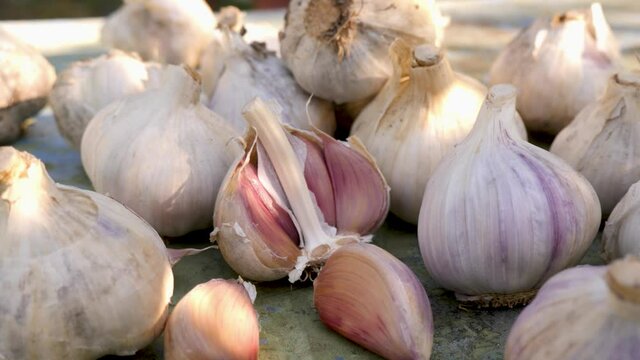 Rustic juicy eco garlic clove or garlic bulb on vintage wooden background. Concept of healthy food background. Shopping food supermarket
