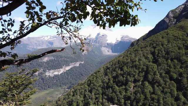 Shifting Foreground Forest Perspective Reveals Snowy Mountain Peak