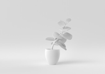White Tree pot in white background. minimal concept idea creative. monochrome. 3D render.