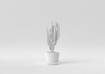 White Tree pot in white background. minimal concept idea creative. monochrome. 3D render.