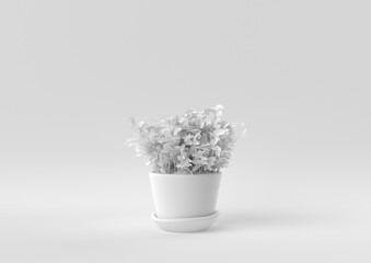 White Tree pot in white background. minimal concept idea creative. monochrome. 3D render.