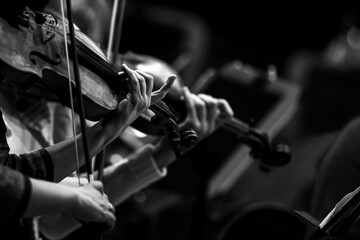 Violinists' hands in a symphony orchestra in black and white