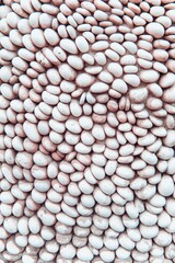 Pebbles stone texture and background.