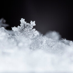 snapshot of a small snowflake taken during a snowfall
