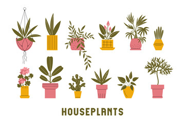 Fototapeta premium Set of simple houseplants on white background. Vector flat illustration with indoor plants