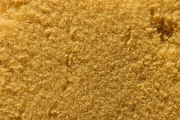 sponge texture background