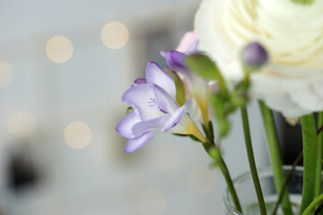 Beautiful bouquet with spring ranunculus and freesias