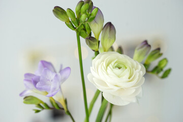 Beautiful bouquet with spring ranunculus and freesias