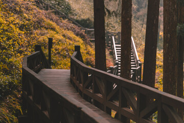 Wooden stair to sightseeing among ancient pine in the garden at Alishan National park at Taiwan