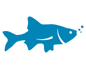  silhouette of fish on white background