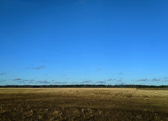 spring landscape of blue sky and fields on forest background at daytime