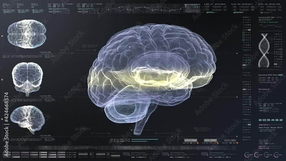 Aufkleber medical concept : futuristic head up display of virtual holographic brain scan analysis biomedical n