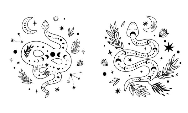 Floral snake set. Celestial serpent moon phase, flowers, leaves, crescent. Mystical hand drawn graphic element.