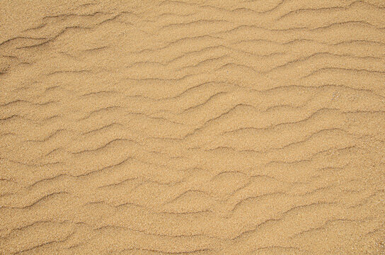 Texture of coarse yellow sand on the beach. Sand dune background. View from above. Background image for design, pattern
