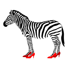 Fototapeta na wymiar zebra in red shoes vector illustration
