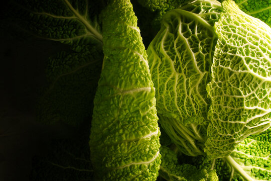 Cavolo verza in primo piano, particolare delle foglie