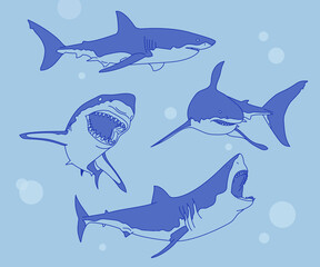 Obraz premium A collection of various actions of sharks. hand drawn style vector design illustrations. 