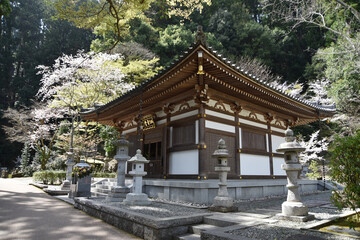 春の長谷寺　納骨堂　奈良県桜井市