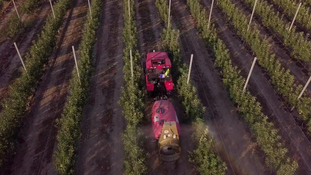 Aerial Tracking Shot of a Tractor in an Orchard. Farmer driving tractor through apple orchard. Apple tree spraying with a tractor. Hail Protection Nets Above an Apple Tree Plantation