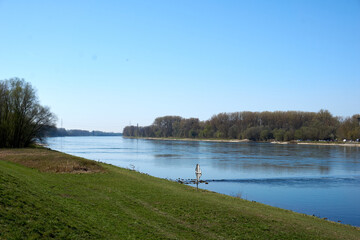 beautiful rhine river with blue water in sunshine in the middle of green landscape