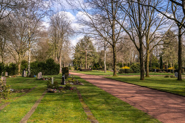 Roter Ascheweg auf einem Friedhof