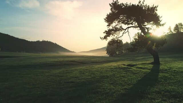 Sun shining through fog and clouds over mountain field and tree, 4k video