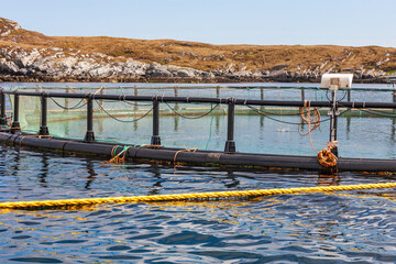 Fototapeta premium Fish cage with salmon fishes in the sea