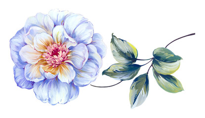 Flowers watercolor illustration. Manual composition.Design for cover, fabric, textile, wrapping paper .