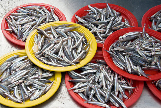 raw macarel fish on market to making