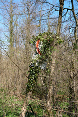 traffic sign overgrown with ivy