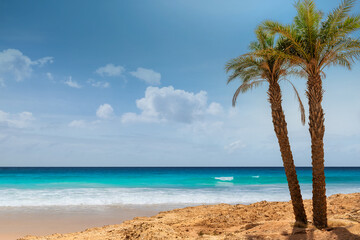 Paradise beach. Sunny beach with palm and turquoise sea in Red Sea, Egypt. Summer vacation and tropical beach concept.