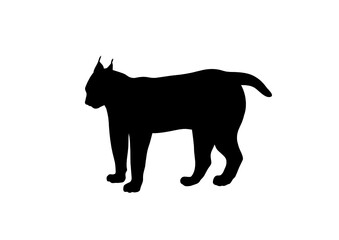 Silhouette Lince