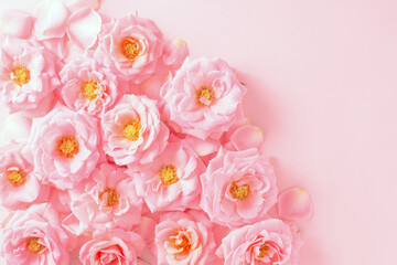 Obraz na płótnie Canvas frame of flowers, blooming pink roses