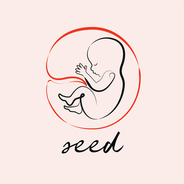 A logo or icon depicting a human embryo in a round seed-like shell. Light beige background, linear hand-drawn picture. Minimalism. 