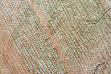 Aerial photography of harvested hullessbarley in the fields of Tibetan countryside