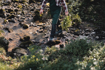 Gardener carrying a bouquet of violet flowers as he crosses a stream