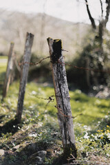 Wooden pickets with a wire encircling a field