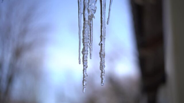 Beautiful dripping icicles on a warm bright sunny day. Melting icicle on a blue background, seamless loop. Endless loop, loopable. Global warming problem