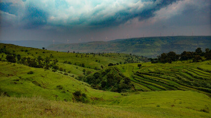 Fototapeta premium Udhavne