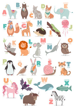 English alphabet with cute cartoon animals for kids education. Letter with a funny animal.