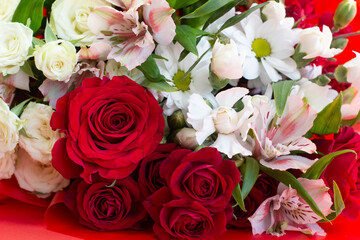 Bright burgundy and colored flowers in a bouquet on a red background close-up