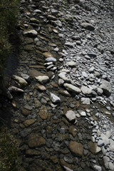 Countryside in a summer day