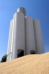 Silo stockage céréales Soufflet © S. Leitenberger