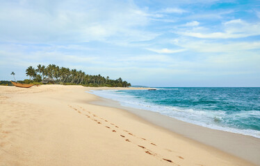 Sri Lanka West Coast beach landscape.
